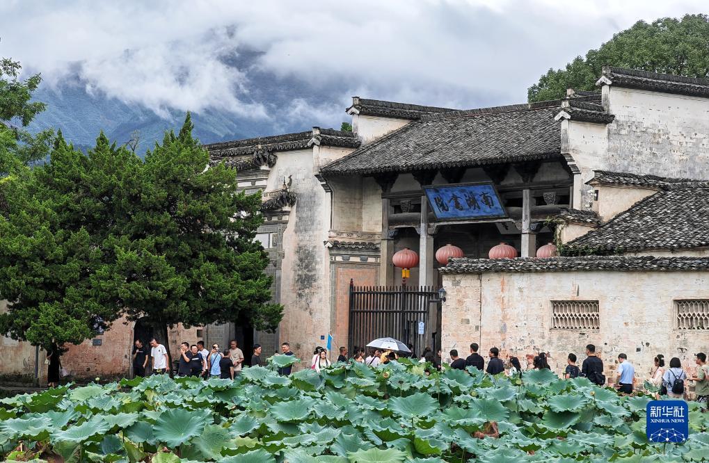 摇钱树网站开奖结果